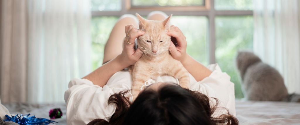 Cat on owner's chest bonding.