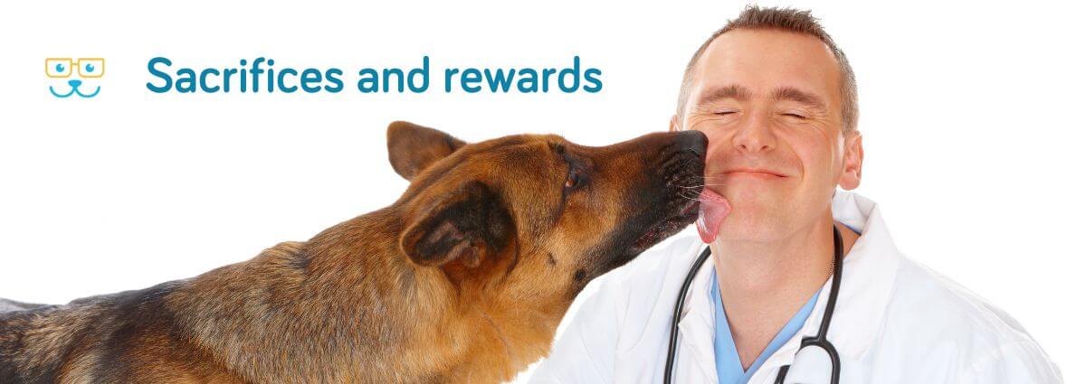Sacrifices and rewards of veterinarians are seen by GeniusVets.