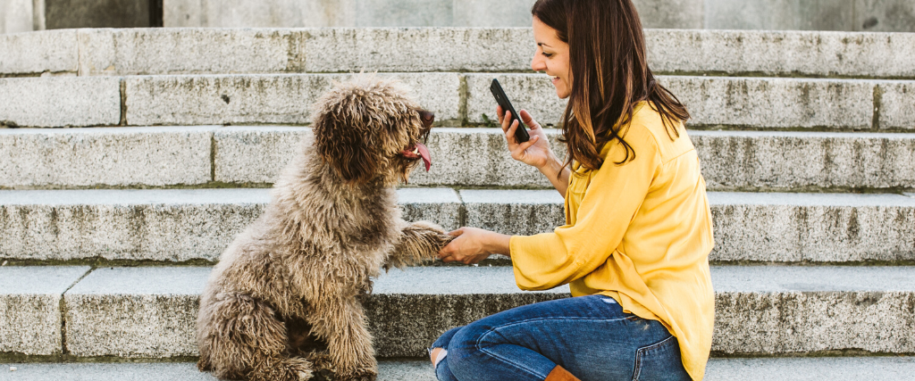 Woman taking a picture of her dog and shaking its paw