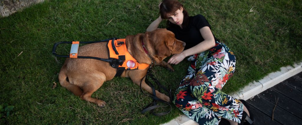 Chocolate lab service dog and handler.