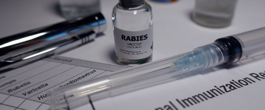 Human rabies vaccine.