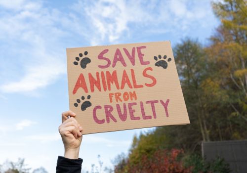 9 Things You Can Do To Help Animals During National Justice For Animals 