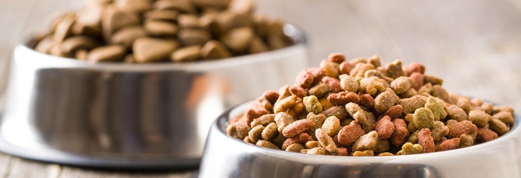Bowls of dog kibble on floor. Dog Nutrition.