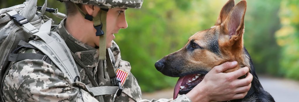 A military K9 and a soldier