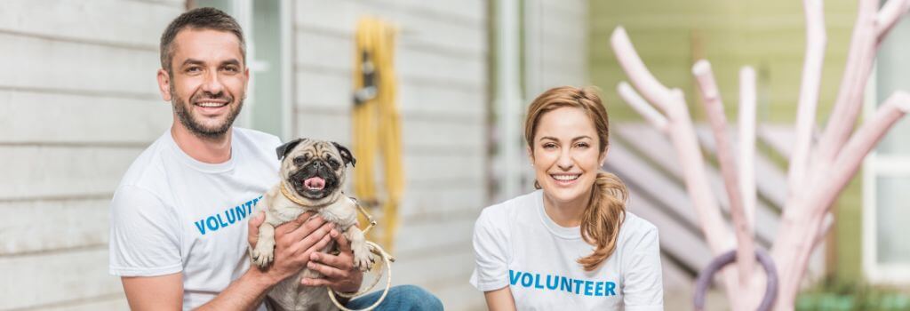 Animal shelter volunteers playing with a pug.