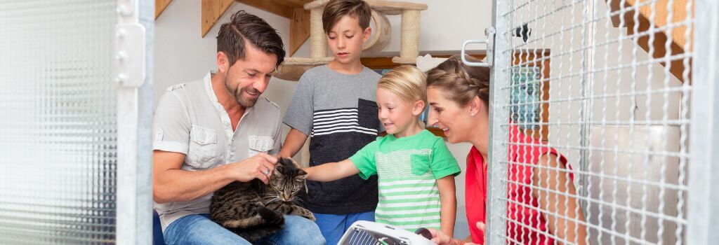 A family with young children meeting a cat at an animal shelter.