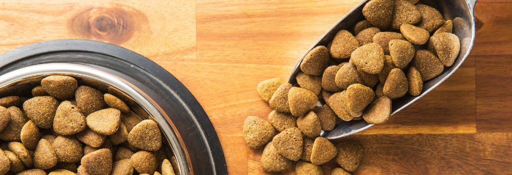 Dry dog kibble is the best dog diet for some, but not all, dogs.