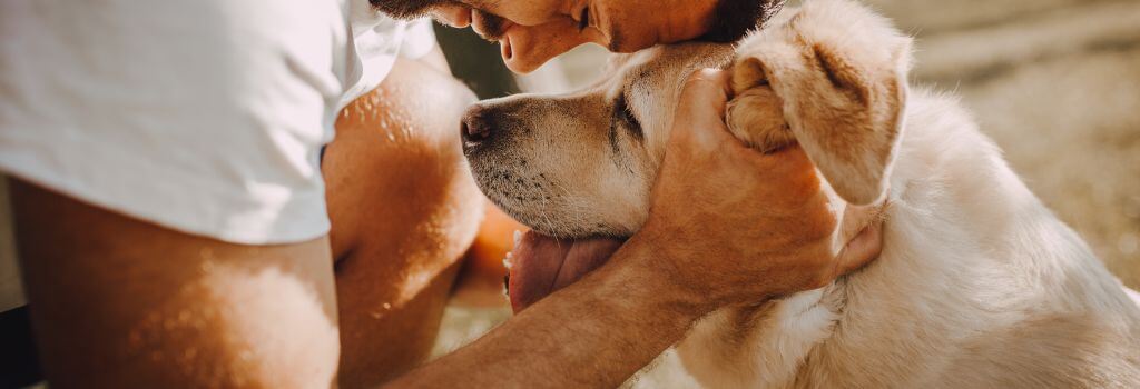 Dog snuggling with owner.