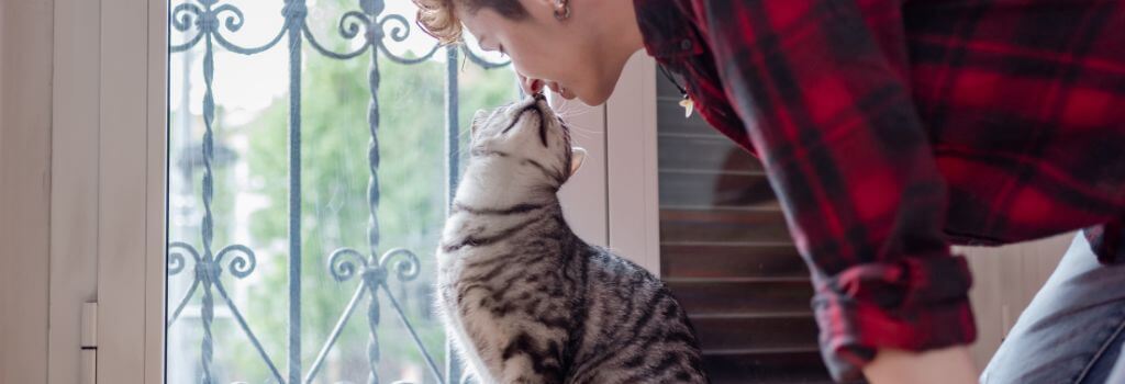 Cat kissing owner.