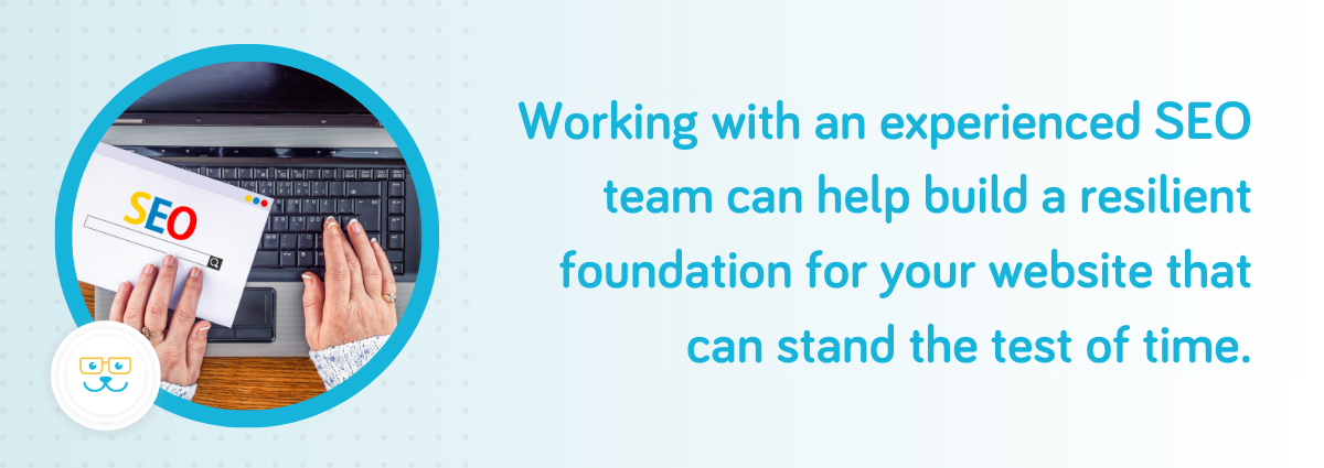 Working with an experienced SEO team can help build a resilient foundation for your website.