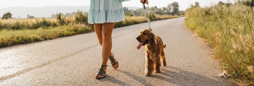 A woman walking a dog on a leash.