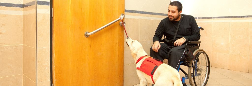 what does it take to become a service dog