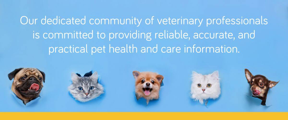 GeniusVets Veterinary Insights Community.