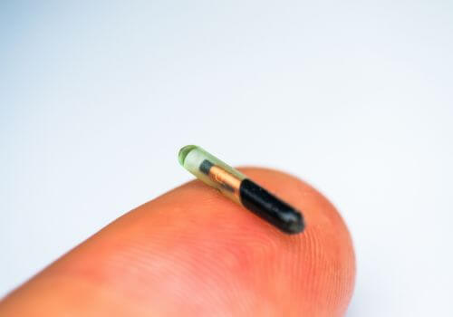 Dog microchip on human finger