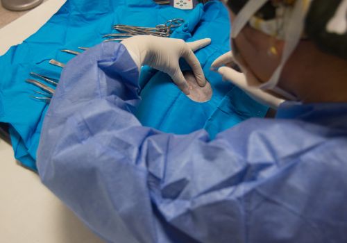 Veterinarian preparing for dog spay on surgery table.