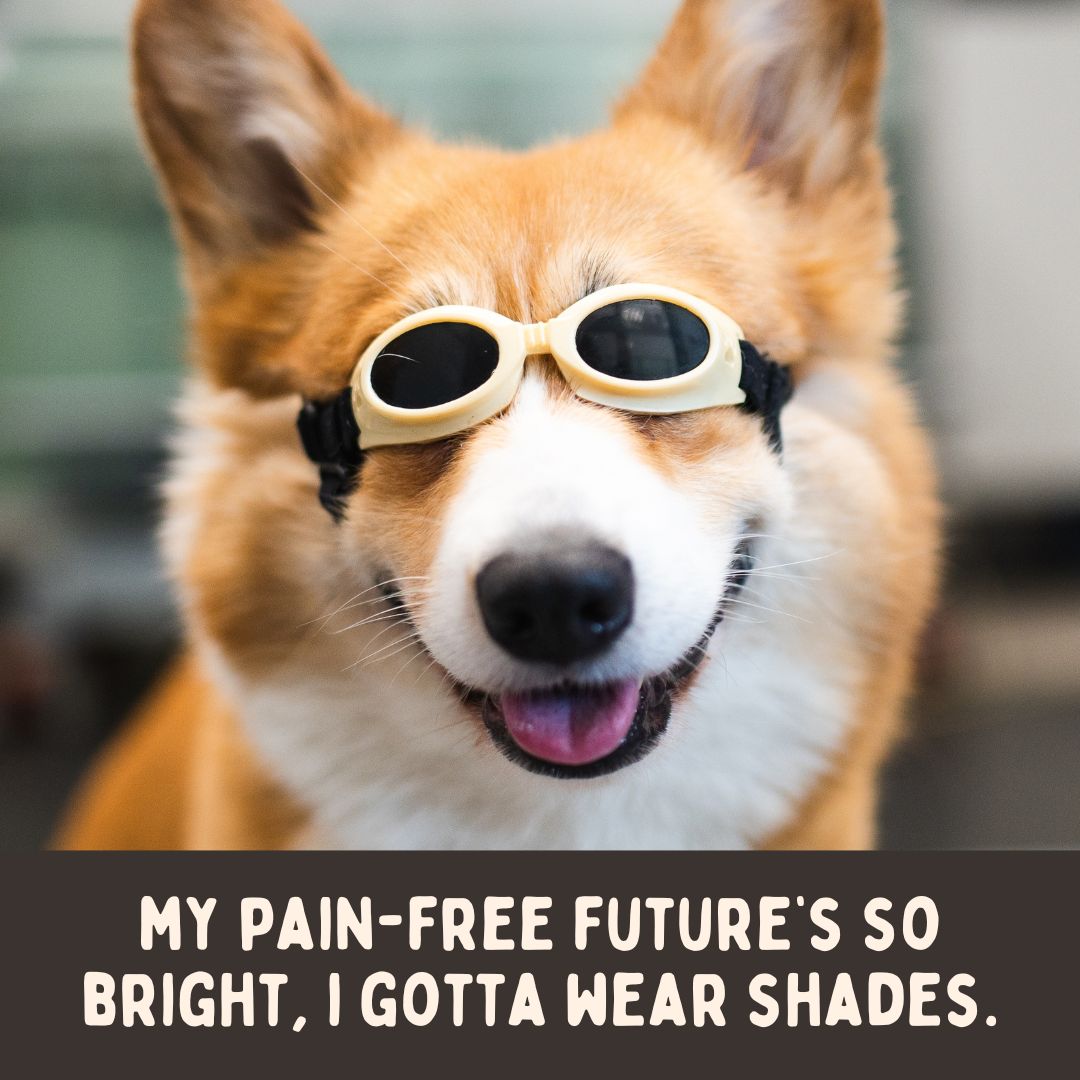 Dog wearing eye protection.