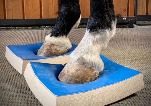 Sure Foot Stability Pads, front range equine performance.