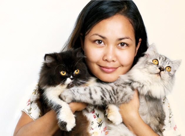 Persian cat hot sale care