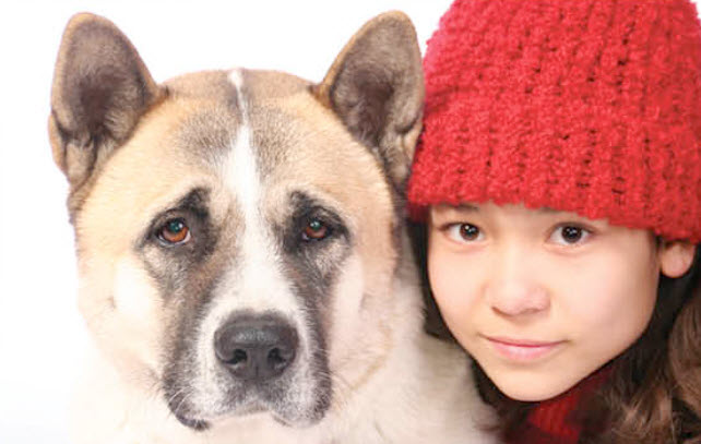 akita prone to what illnesses