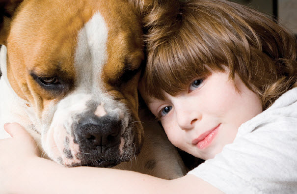 Boxer: Dog Breed Characteristics & Care