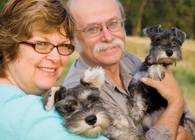 Miniature Schnauzer  Point Vicente Animal Hospital