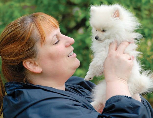 can a samoyed and a pomeranian be friends