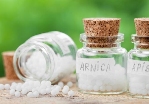 Dog homeopathic services, apis and arnica