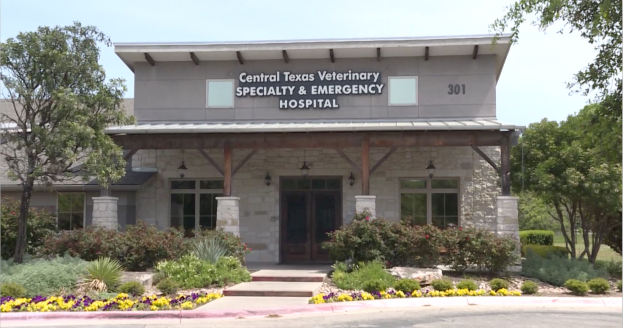 Top Rated Local Veterinarians Central Texas Veterinary Specialty Emergency Hospital
